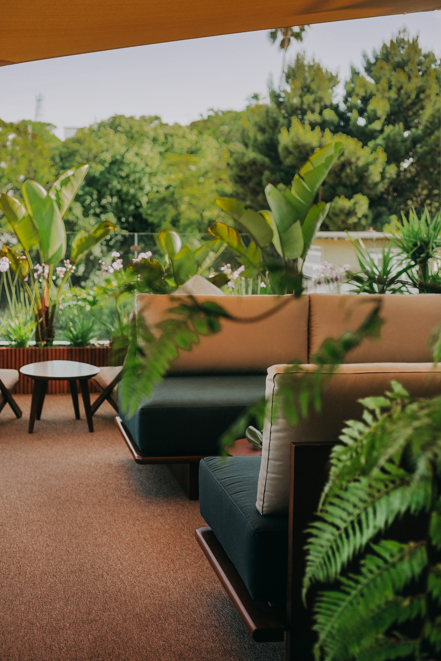 Modern outdoor patio with cushioned seating, small wooden tables, and lush green plants and trees in the background, creating a cozy and inviting atmosphere.